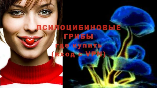 прущие грибы Алексин