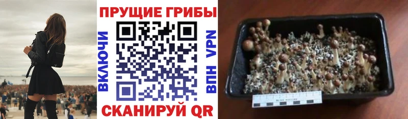 Галлюциногенные грибы прущие грибы Алатырь
