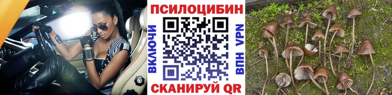 Псилоцибиновые грибы GOLDEN TEACHER  гидра ССЫЛКА  Алатырь 